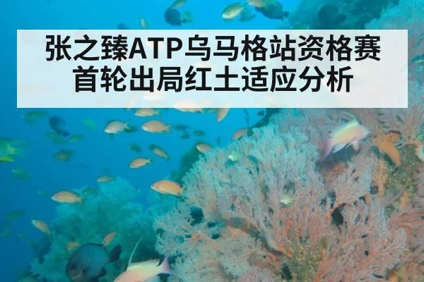 张之臻ATP乌马格站资格赛首轮出局红土适应分析