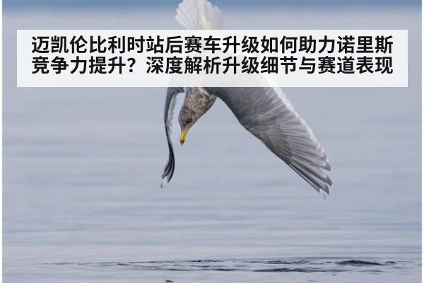 迈凯伦比利时站后赛车升级如何助力诺里斯竞争力提升？深度解析升级细节与赛道表现