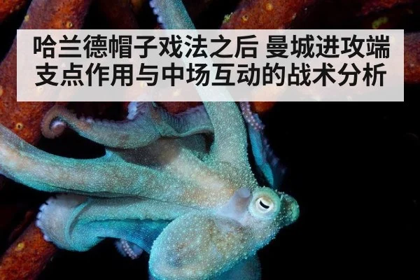 哈兰德帽子戏法之后 曼城进攻端支点作用与中场互动的战术分析